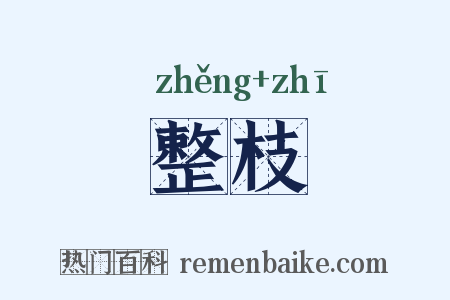 整枝是什么意思的图片